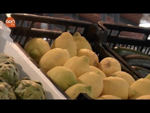 Actualización del precio del limón hoy en Murcia: ¡Descubre las últimas tendencias!